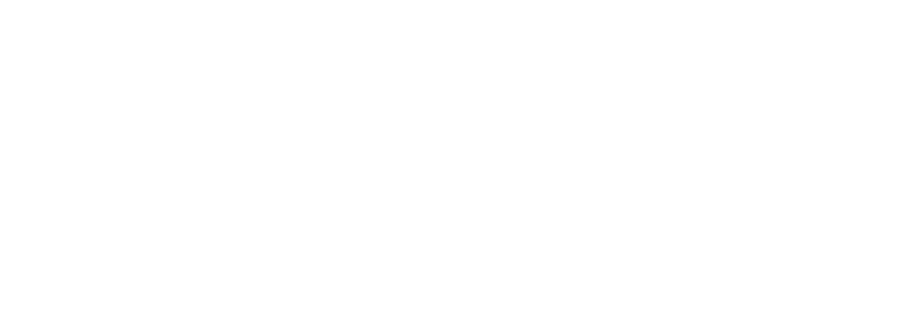 Lex Pro